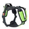 Hundegeschirr Mountain Pro Harness neongrün
