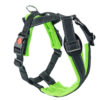 Hundegeschirr Trekking Harness eongrün