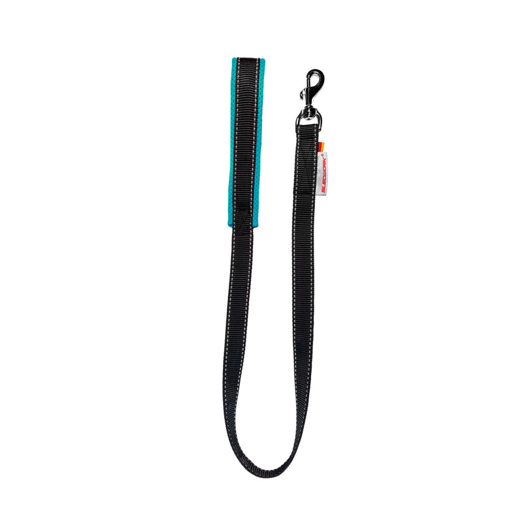 Hundeleine Pro-Leash petrol