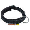 Hundehalsband Racing Collar - Arctic schwarz