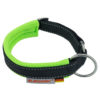 Hundehalsband Racing Collar - Arctic neongrün