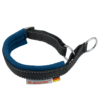 Hundehalsband Safety Collar - Active royalblau