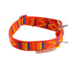 Hundehalsband Racing Collar – Arctic “Indian Summer” rot
