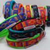Hundehalsband Racing Collar - Arctic Indian Summer bunt