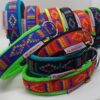 Hundehalsband Racing Collar - Arctic Indian Summer bunt