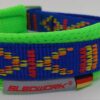 Hundehalsband Racing Collar - Arctic Indian Summer blau, neongrün