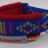 Hundehalsband Racing Collar - Arctic Indian Summer blau, rot