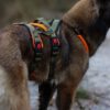 Hundegeschirr Open Range Harness - Adventure oliv, neonorange