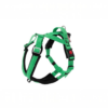 Hundegeschirr Trekking Harness - Adventure lime