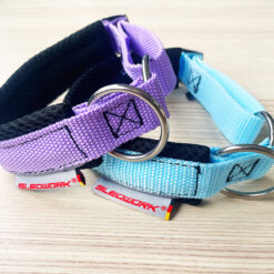 Racing Collar - Arctic colour