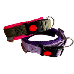 Racing Collar Arctic Click Signature Hundehalsband mit Reflektorkeder